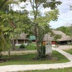 Campamento Yatoch Barum Selva Lacandona